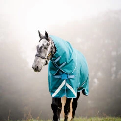 Deken Horseware Amigo Bravo 1200D Plus 100gr Disc Groen 19 Deken Horseware Amigo Bravo 1200D Plus 100gr Disc Groen -Paardenbenodigdheden Winkel deken horseware amigo bravo 1200d plus 100gr disc groen 1500x1500 164777