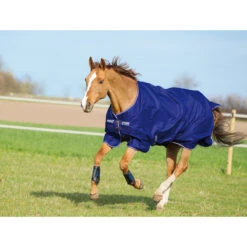 Deken Horseware Amigo Hero 900 Plus 0gr Middenblauw -Paardenbenodigdheden Winkel deken horseware amigo hero 900 plus 0gr middenblauw 1500x1500 117879
