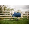 Deken Horseware Amigo Hero 900 Pony 200gr Donkerblauw 2 Deken Horseware Amigo Hero 900 Pony 200gr Donkerblauw -Paardenbenodigdheden Winkel deken horseware amigo hero 900 pony 200gr donkerblauw 1500x1500 117899