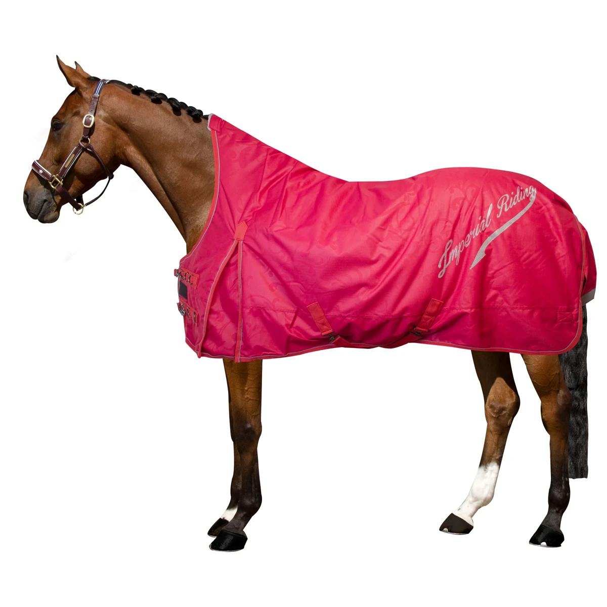 Deken Imperial Riding IRHSuper-Dry 0gr Rood 4 Deken Imperial Riding IRHSuper-Dry 0gr Rood - Afbeelding 2
