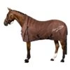 Deken Imperial Riding IRHSuper-Dry 300gr Bruin -Paardenbenodigdheden Winkel deken imperial riding irhsuper dry 300gr bruin 1500x1500 168134