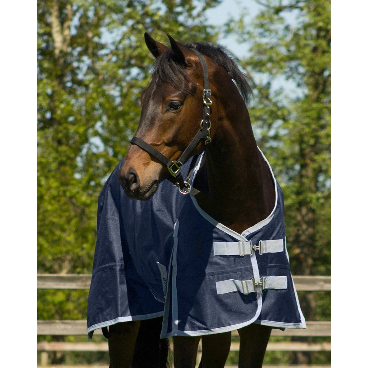 Deken QHP Turnout Fleece 0gr Donkerblauw 4 Deken QHP Turnout Fleece 0gr Donkerblauw - Afbeelding 2