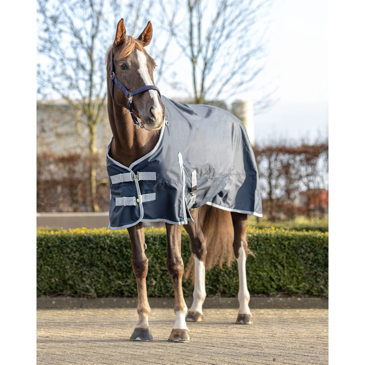Deken QHP Turnout Fleece 0gr Donkerblauw 7 Deken QHP Turnout Fleece 0gr Donkerblauw - Afbeelding 5