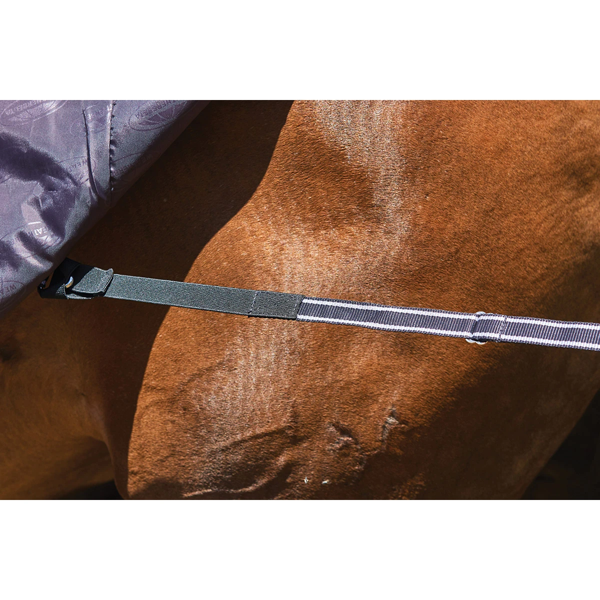 Deken WeatherBeeta ComFiTec Plus Dynamic 0gr Paars-zwart 9 Deken WeatherBeeta ComFiTec Plus Dynamic 0gr Paars-zwart - Afbeelding 7