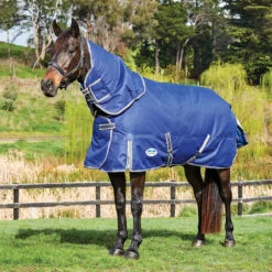 Deken WeatherBeeta ComFiTec Premier Free II 220gr Donkerblauw-grijs 6 Deken WeatherBeeta ComFiTec Premier Free II 220gr Donkerblauw-grijs -Paardenbenodigdheden Winkel deken weatherbeeta comfitec premier free ii 220gr donkerblauw grijs 1500x1500 134937