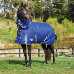 Deken WeatherBeeta ComFiTec Premier Free II 220gr Donkerblauw-grijs 7 Deken WeatherBeeta ComFiTec Premier Free II 220gr Donkerblauw-grijs -Paardenbenodigdheden Winkel deken weatherbeeta comfitec premier free ii 220gr donkerblauw grijs 1500x1500 134938
