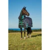 Deken WeatherBeeta Green-Tec 900D 360gr Zwart-groen 1 Deken WeatherBeeta Green-Tec 900D 360gr Zwart-groen -Paardenbenodigdheden Winkel deken weatherbeeta green tec 900d 360gr zwart groen 1500x1500 135085