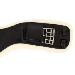 Dressuursingel Anky Zwart -Paardenbenodigdheden Winkel dressuursingel anky zwart 1500x1500 179971