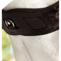Dressuursingel Rambo Micklem Comfort Bruin -Paardenbenodigdheden Winkel dressuursingel rambo micklem comfort bruin 1500x1500 142636