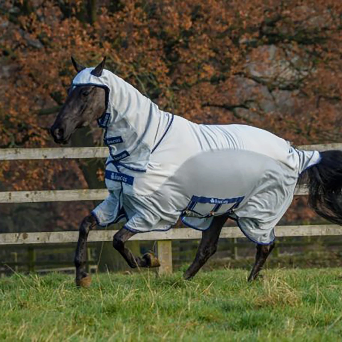 Eczeemdeken Bucas Sweet Itch X Light Zilver 4 Eczeemdeken Bucas Sweet Itch X Light Zilver - Afbeelding 2