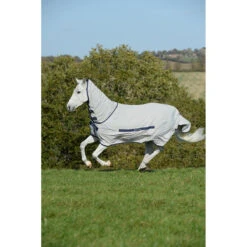 Eczeemdeken Bucas Sweet Itch Zilver -Paardenbenodigdheden Winkel eczeemdeken bucas sweet itch zilver 1500x1500 133279