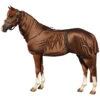 Eczeemdeken Epplejeck Full Neck Bruin 2 Eczeemdeken Epplejeck Full Neck Bruin -Paardenbenodigdheden Winkel eczeemdeken epplejeck full neck bruin 1500x1500 108611