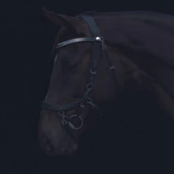 Frontriem PresTeq FaySport Zwart -Paardenbenodigdheden Winkel frontriem presteq faysport zwart 1500x1500 130578