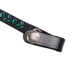 Frontriem QHP Eldorado Zwart-groen -Paardenbenodigdheden Winkel frontriem qhp eldorado zwart groen 1500x1500 130591