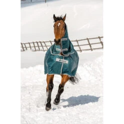 Halsstuk Bucas Atlantic Turnout Combi 300gr Groen -Paardenbenodigdheden Winkel halsstuk bucas atlantic turnout combi 300gr groen 1500x1500 133197