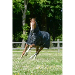 Halsstuk Bucas Trotting Combi Neck Zwart-wit -Paardenbenodigdheden Winkel halsstuk bucas trotting combi neck zwart wit 1500x1500 157968