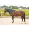 Halsstuk Harry's Horse Thor 200gr Grijs -Paardenbenodigdheden Winkel halsstuk harry s horse thor 200gr grijs 1500x1500 165715