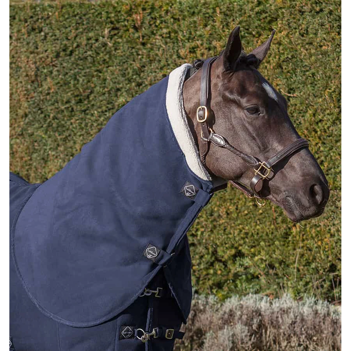 Halsstuk LeMieux Four Seasons Donkerblauw 3 Halsstuk LeMieux Four Seasons Donkerblauw