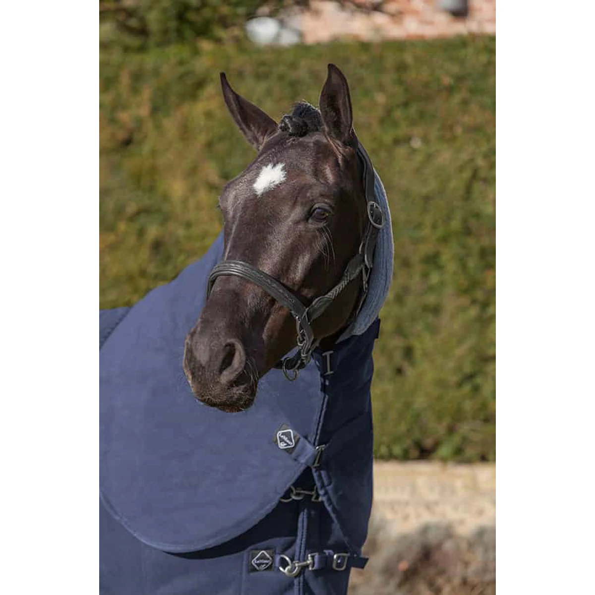 Halsstuk LeMieux Four Seasons Donkerblauw 4 Halsstuk LeMieux Four Seasons Donkerblauw - Afbeelding 2