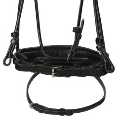 Hoofdstel Dy'on DRC Rondgenaaid Medium Mat Zwart -Paardenbenodigdheden Winkel hoofdstel dy on drc rondgenaaid medium mat zwart 1500x1500 116082