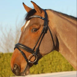 Hoofdstel Dy'on DRC Rondgenaaid Medium Mat Zwart -Paardenbenodigdheden Winkel hoofdstel dy on drc rondgenaaid medium mat zwart 1500x1500 116083