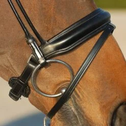 Hoofdstel Dy'on DRC Rondgenaaid Medium Mat Zwart -Paardenbenodigdheden Winkel hoofdstel dy on drc rondgenaaid medium mat zwart 1500x1500 116084