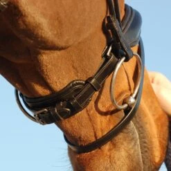 Hoofdstel Dy'on DRC Rondgenaaid Medium Mat Zwart -Paardenbenodigdheden Winkel hoofdstel dy on drc rondgenaaid medium mat zwart 1500x1500 116085