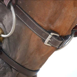 Hoofdstel Dy'on WC Classic Flash Bruin -Paardenbenodigdheden Winkel hoofdstel dy on wc classic flash bruin 1500x1500 101438