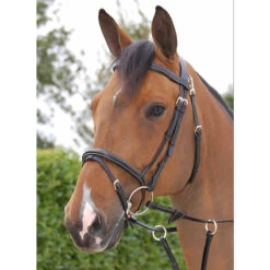 Hoofdstel Dy'on Working Collection Flash Noseband With Snap Hooks Zwart 7 Hoofdstel Dy'on Working Collection Flash Noseband With Snap Hooks Zwart -Paardenbenodigdheden Winkel hoofdstel dy on working collection flash noseband with snap hooks zwart 1500x1500 141590