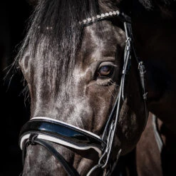 Hoofdstel HB Special Guy Zwart-wit -Paardenbenodigdheden Winkel hoofdstel hb special guy zwart wit 1500x1500 146335