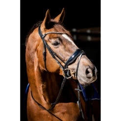 Hoofdstel HB Special Guy Zwart 10 Hoofdstel HB Special Guy Zwart -Paardenbenodigdheden Winkel hoofdstel hb special guy zwart 1500x1500 146330