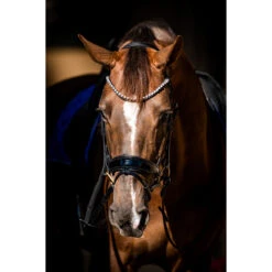 Hoofdstel HB Special Guy Zwart 13 Hoofdstel HB Special Guy Zwart -Paardenbenodigdheden Winkel hoofdstel hb special guy zwart 1500x1500 146333