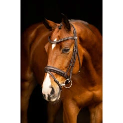 Hoofdstel LeMieux Arika Dressage Bruin -Paardenbenodigdheden Winkel hoofdstel lemieux arika dressage bruin 1500x1500 185344