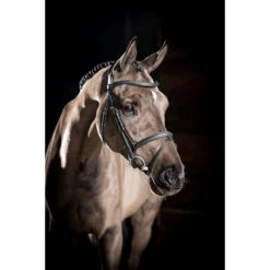 Hoofdstel LeMieux Arika Flash Zwart 5 Hoofdstel LeMieux Arika Flash Zwart -Paardenbenodigdheden Winkel hoofdstel lemieux arika flash zwart 1500x1500 185331