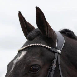 Hoofdstel QHP Nehza Zwart-wit -Paardenbenodigdheden Winkel hoofdstel qhp nehza zwart wit 1500x1500 139588