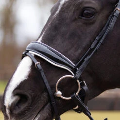 Hoofdstel QHP Nehza Zwart-wit -Paardenbenodigdheden Winkel hoofdstel qhp nehza zwart wit 1500x1500 139589