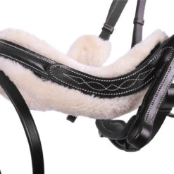 Hoofdstel QHP Ontario Zwart 11 Hoofdstel QHP Ontario Zwart -Paardenbenodigdheden Winkel hoofdstel qhp ontario zwart 1500x1500 124719