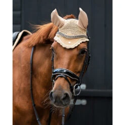 Hoofdstel QHP Orlando Black-brown -Paardenbenodigdheden Winkel hoofdstel qhp orlando black brown 1500x1500 172392