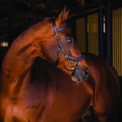 Hoofdstel Rambo Micklem Multi Bridle Zwart -Paardenbenodigdheden Winkel hoofdstel rambo micklem multi bridle zwart 1500x1500 108436