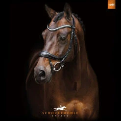 Hoofdstel Schockemöhle Equitus Beta Zwart-zilver -Paardenbenodigdheden Winkel hoofdstel schockemohle equitus beta zwart zilver 1500x1500 99675