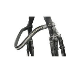 Hoofdstel Schockemöhle Malibu Zwart-zilver 9 Hoofdstel Schockemöhle Malibu Zwart-zilver -Paardenbenodigdheden Winkel hoofdstel schockemohle malibu zwart zilver 1500x1500 98861