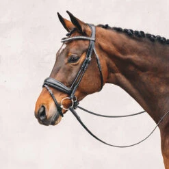 Hoofdstel Schockemöhle Malibu Zwart-zilver 10 Hoofdstel Schockemöhle Malibu Zwart-zilver -Paardenbenodigdheden Winkel hoofdstel schockemohle malibu zwart zilver 1500x1500 98862