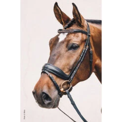 Hoofdstel Schockemöhle Stanford S Zwart-goud -Paardenbenodigdheden Winkel hoofdstel schockemohle stanford s zwart goud 1500x1500 118181