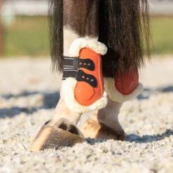 Kogelbeschermers QHP Menton Oranje -Paardenbenodigdheden Winkel kogelbeschermers qhp menton oranje 1500x1500 186878