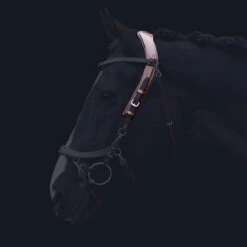 Kopstuk PresTeq FaySport Bruin -Paardenbenodigdheden Winkel kopstuk presteq faysport bruin 1500x1500 130564