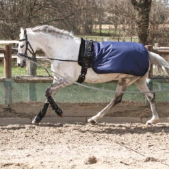 Longeerdeken Busse Rain Donkerblauw -Paardenbenodigdheden Winkel longeerdeken busse rain donkerblauw 1500x1500 134397