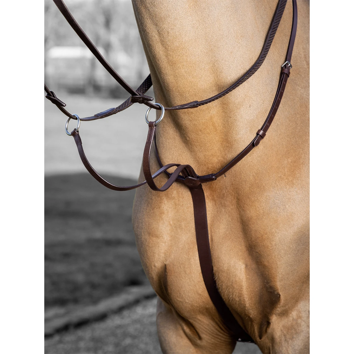 Martingaal LeMieux Arika Running Middenbruin 4 Martingaal LeMieux Arika Running Middenbruin - Afbeelding 2