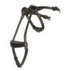 Neusriem Horsegear Aquila Bruin -Paardenbenodigdheden Winkel neusriem horsegear aquila bruin 1500x1500 117330