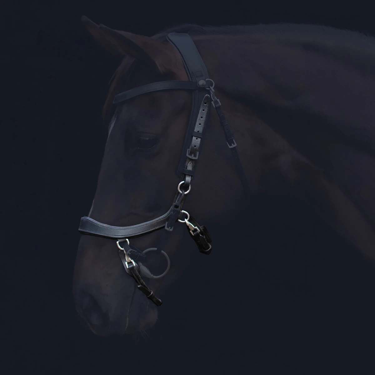 Neusriem PresTeq FaySport Zwart 7 Neusriem PresTeq FaySport Zwart - Afbeelding 5