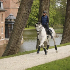 Onderbandages Kentucky Absorb Donkerblauw -Paardenbenodigdheden Winkel onderbandages kentucky absorb donkerblauw 1500x1500 137459